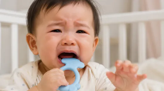 bayi meragam